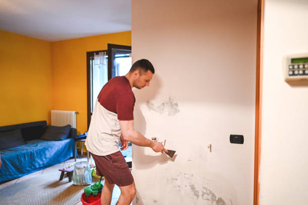 New Oxford, PA Mold Removal Company